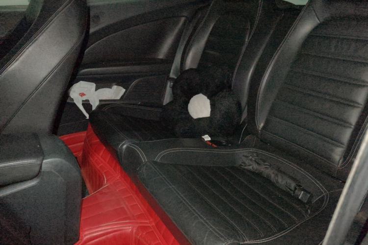Used Volkswagen Scirocco 2011 2.0 TSI Luxury Edition Left Rear Seat