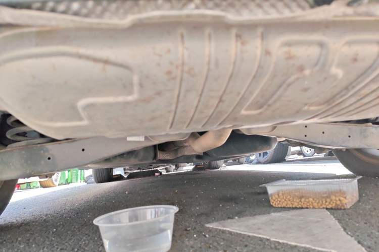 Used Volkswagen Sharan 2013 1.8TSI Comfort Model Euro IV Chassis Rear
