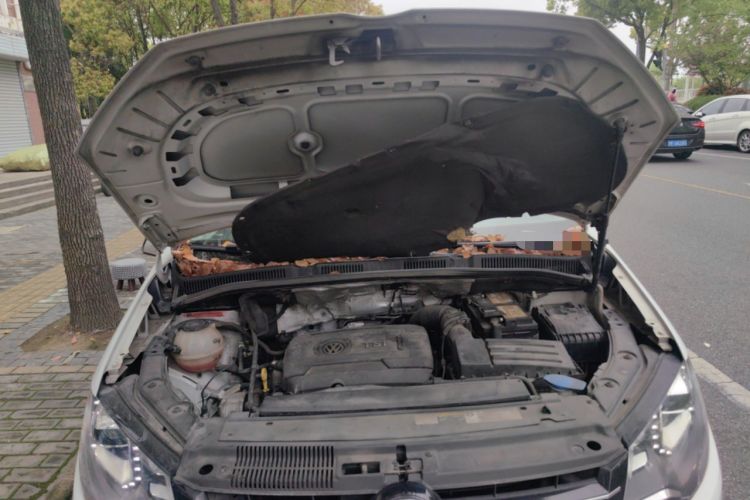 Used Volkswagen Sharan 2018 380TSI Enjoyment Edition Premium 7-Seater Engine Bay