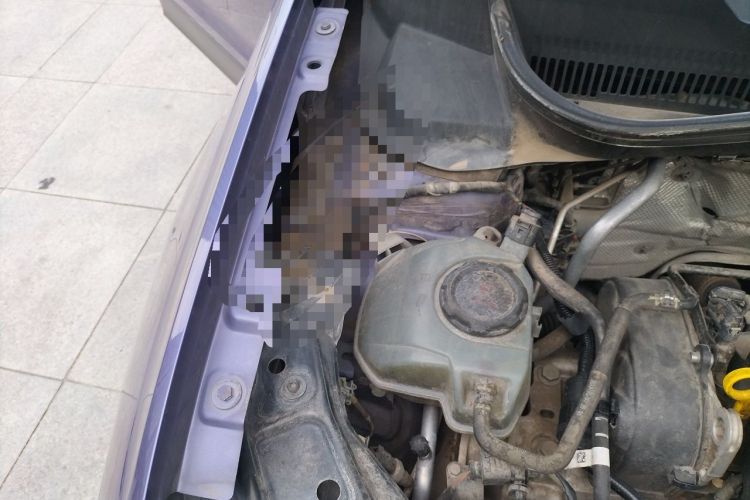 Used Volkswagen T-Cross 2019 1.5L Automatic Comfort Edition Engine Bay Right