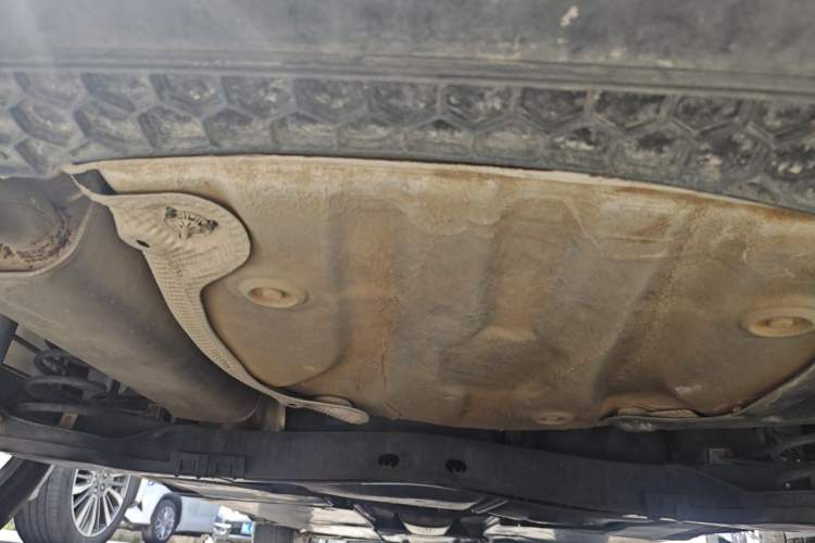 Used Volkswagen T-Cross 2019 280TSI DSG Comfort Edition Chassis Rear