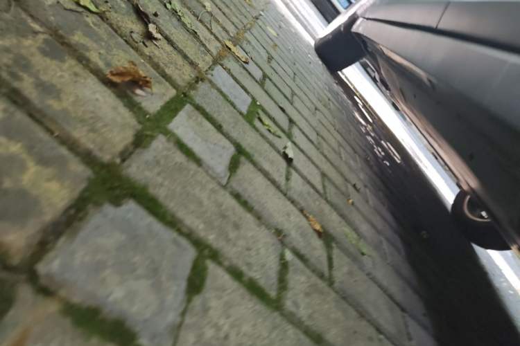 Used Volkswagen T-Cross 2019 1.5L Automatic Fashion Edition Chassis Rear Left
