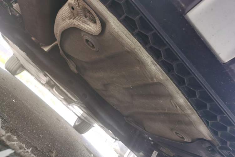 Used Volkswagen T-Cross 2019 1.5L Automatic Comfort Edition Chassis Rear