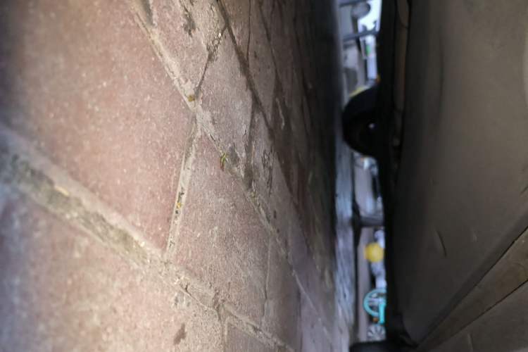 Used Volkswagen T-Cross 2020 1.5L Automatic Comfort Edition Chassis Front Left