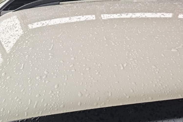 Used Volkswagen T-Cross 2021 1.5L Automatic Fashion Edition Roof