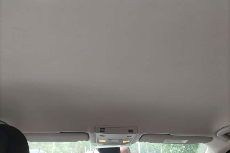 Used Volkswagen T-ROC 2018 230TSI DSG Two-Wheel Drive Advanced Version China V Standard Headliner