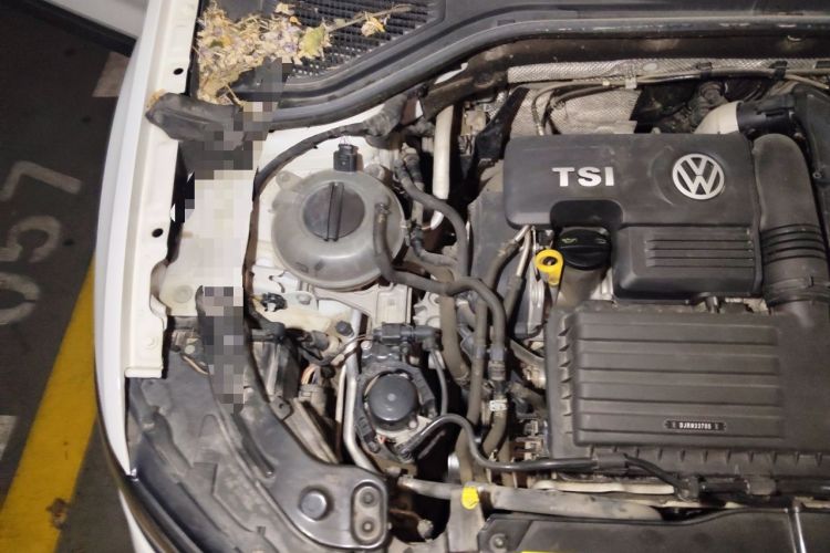 Used Volkswagen T-ROC 2019 230TSI DSG Two-Wheel-Drive Advanced Version China VI Standard Engine Bay Right