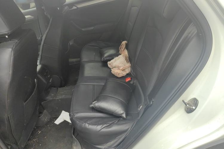 Used Volkswagen T-ROC 2019 280TSI DSG Two-Wheel Drive R-Line Pro Left Rear Seat