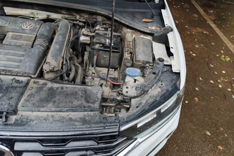 Used Volkswagen T-ROC 2020 280TSI DSG Two-Wheel Drive Comfort Version Engine Bay Left