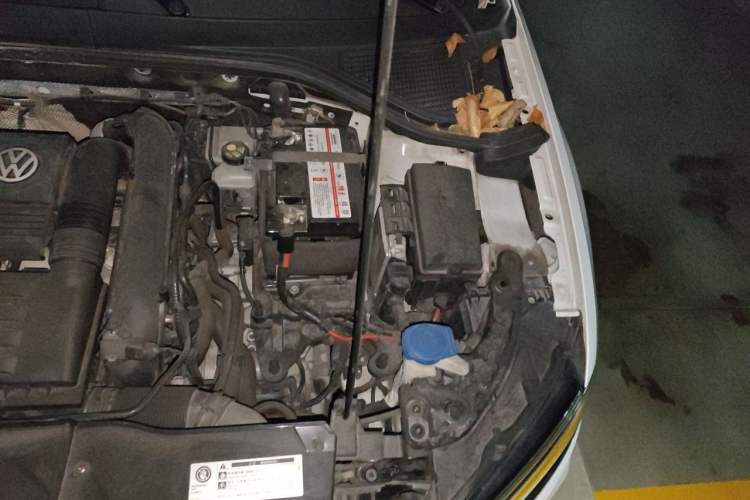 Used Volkswagen T-ROC 2020 280TSI DSG Two-Wheel Drive Comfort Version Engine Bay Left