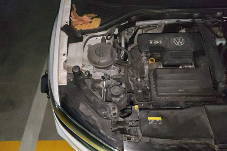 Used Volkswagen T-ROC 2020 280TSI DSG Two-Wheel Drive Comfort Version Engine Bay Right