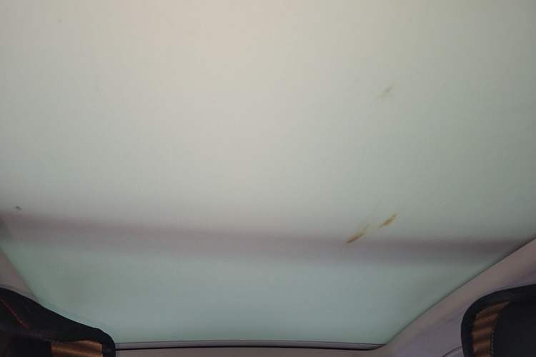 Used Volkswagen T-ROC 2020 280TSI DSG Two-Wheel Drive Comfort Version Headliner