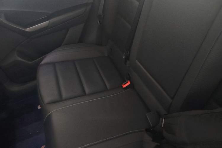 Used Volkswagen T-ROC 2020 280TSI DSG Two-Wheel Drive Comfort Version Left Rear Seat