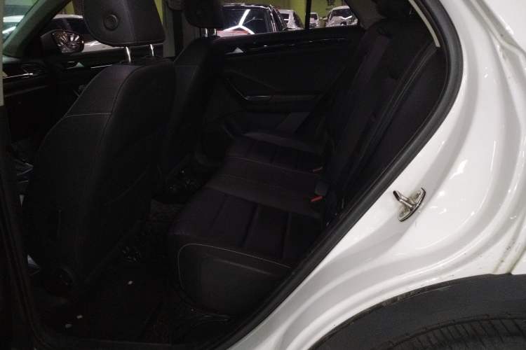 Used Volkswagen T-ROC 2020 280TSI DSG Two-Wheel Drive Comfort Version Left Rear Seat