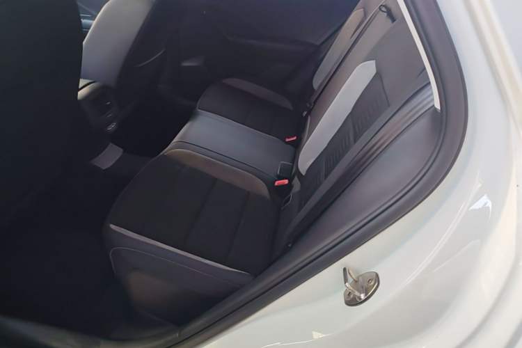 Used Volkswagen T-ROC 2020 230TSI DSG Two-Wheel Drive Advanced Version Left Rear Seat