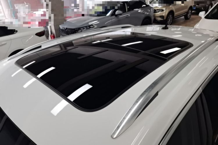 Used Volkswagen T-ROC 2020 230TSI DSG Two-Wheel Drive Advanced Version Roof