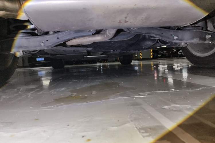 Used Volkswagen T-ROC 2021 280TSI DSG Two-Wheel Drive Elite Connect Edition Chassis Rear