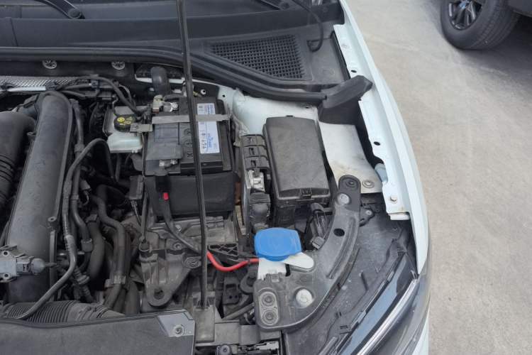 Used Volkswagen T-ROC 2021 Revised Version 280TSI DSG All-Wheel Drive Luxury Connected Edition Engine Bay Left