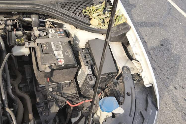 Used Volkswagen T-ROC 2021 280TSI DSG Two-Wheel Drive Elite Connect Edition Engine Bay Left