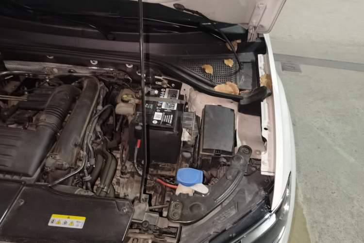 Used Volkswagen T-ROC 2021 Revised Version 280TSI DSG Two-Wheel Drive Elite Connect Edition Engine Bay Left
