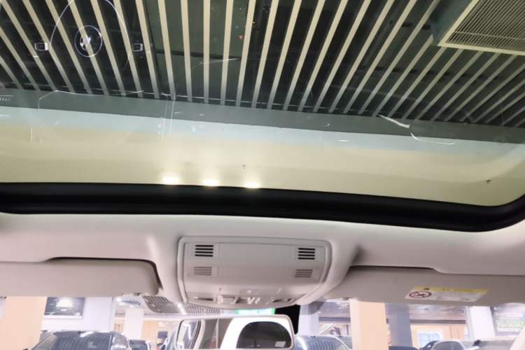 Used Volkswagen T-ROC 2021 280TSI DSG Two-Wheel Drive Comfort Connect Edition Headliner