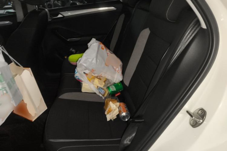 Used Volkswagen T-ROC 2021 280TSI DSG Two-Wheel Drive Elite Connect Edition Left Rear Seat