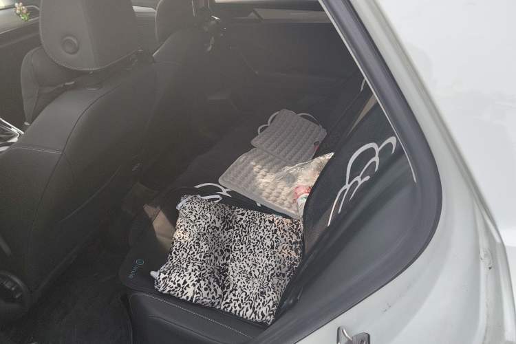 Used Volkswagen T-ROC 2021 280TSI DSG Two-Wheel Drive Elite Connect Edition Left Rear Seat