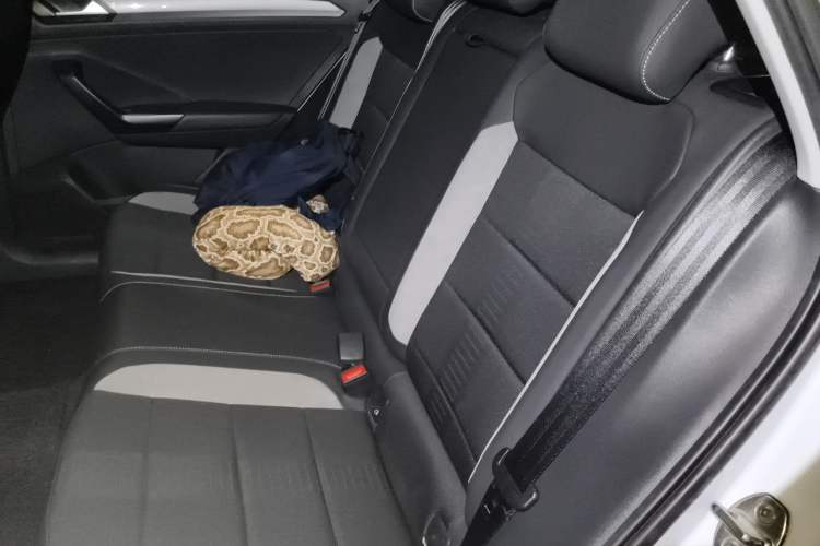 Used Volkswagen T-ROC 2021 280TSI DSG Two-Wheel Drive Elite Connect Edition Left Rear Seat