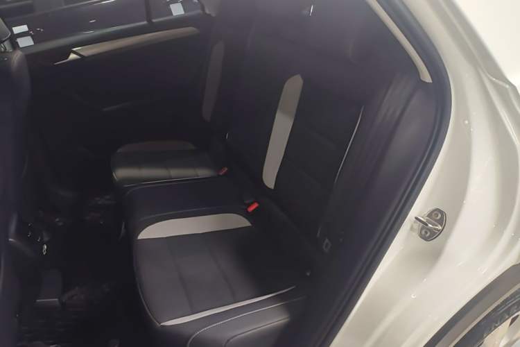 Used Volkswagen T-ROC 2021 280TSI DSG Two-Wheel Drive Elite Connect Edition Left Rear Seat