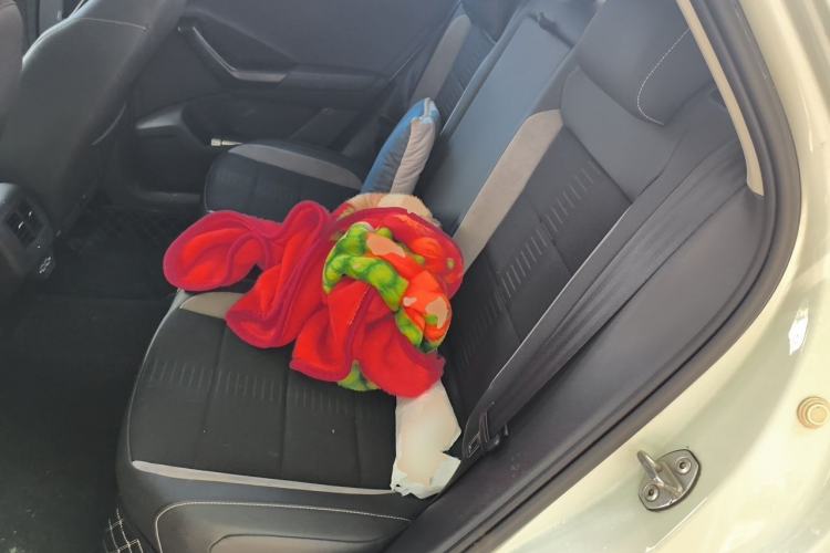 Used Volkswagen T-ROC 2021 280TSI DSG Two-Wheel Drive Elite Connect Edition Left Rear Seat