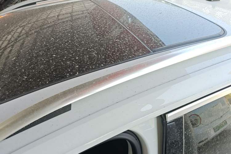 Used Volkswagen T-ROC 2021 280TSI DSG Two-Wheel Drive Comfort Connect 30th Anniversary Edition Roof