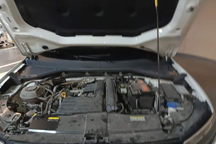 Used Volkswagen T-ROC 2022 280TSI DSG Two-Wheel Drive Comfort PLUS Engine Bay