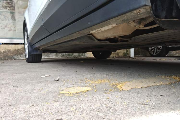 Used Volkswagen T-ROC 2022 280TSI DSG Two-Wheel Drive Elite PLUS Left Side Sill