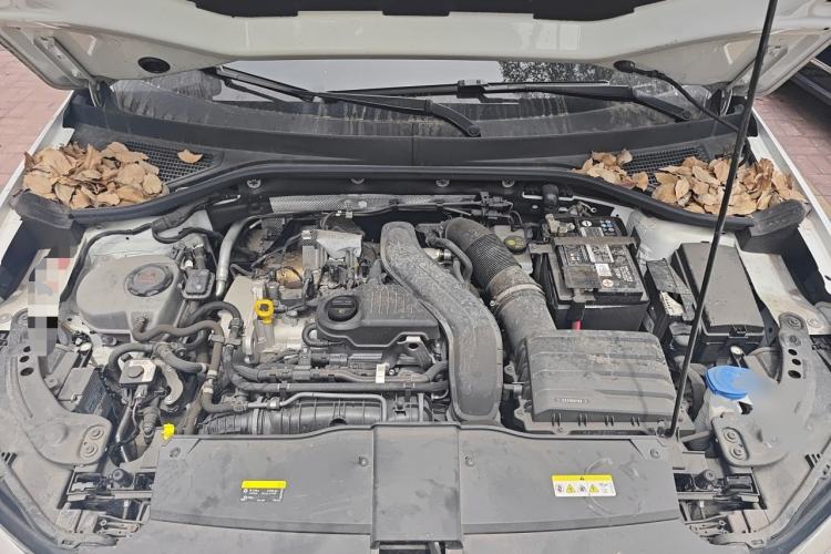 Used Volkswagen T-ROC 2023 300TSI DSG Two-Wheel-Drive Chen Guang Edition Engine Bay