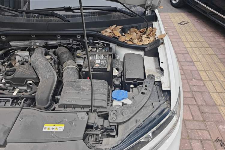 Used Volkswagen T-ROC 2023 300TSI DSG Two-Wheel-Drive Chen Guang Edition Engine Bay Left
