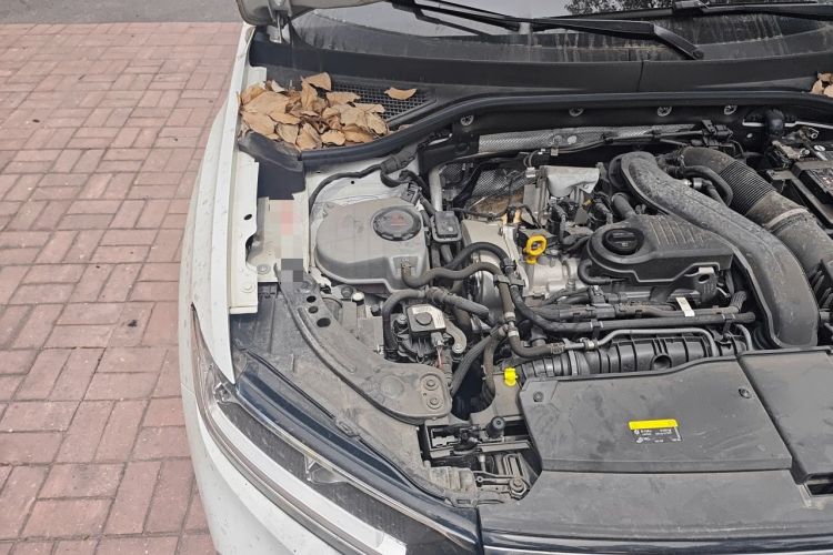 Used Volkswagen T-ROC 2023 300TSI DSG Two-Wheel-Drive Chen Guang Edition Engine Bay Right