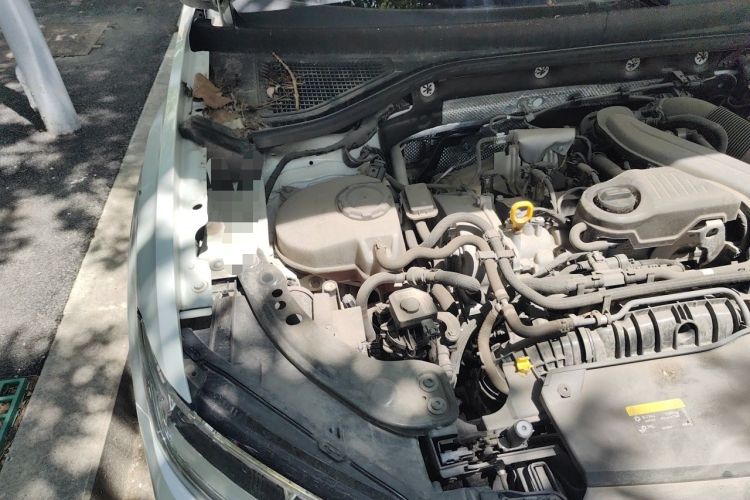 Used Volkswagen T-ROC 2023 300TSI DSG Two-Wheel-Drive Chen Guang Edition Engine Bay Right