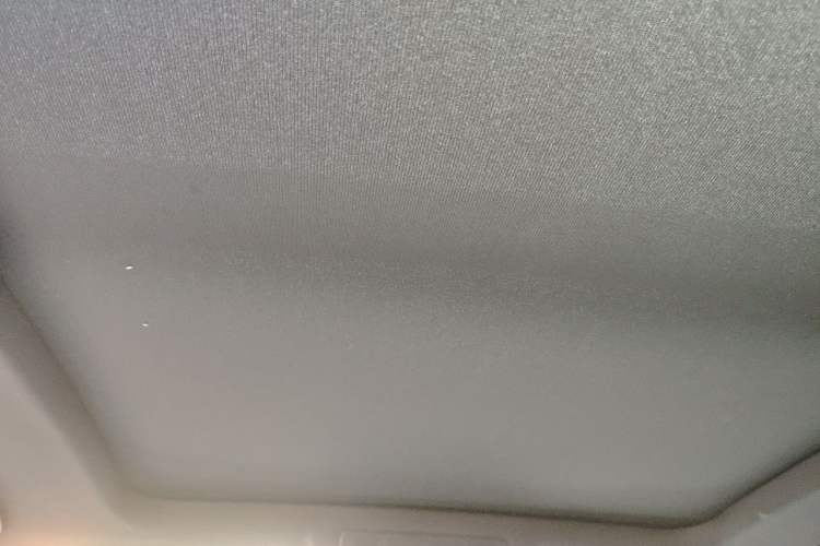 Used Volkswagen T-ROC 2023 300TSI DSG Two-Wheel-Drive Chen Guang Edition Headliner