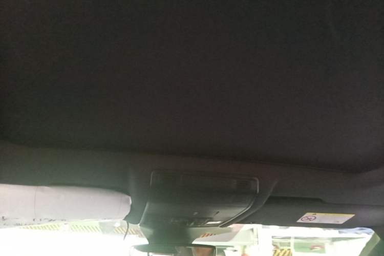 Used Volkswagen T-ROC 2023 300TSI DSG Two-Wheel-Drive Chen Guang Edition Headliner