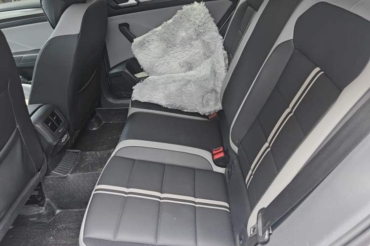 Used Volkswagen T-ROC 2023 300TSI DSG Two-Wheel-Drive Chen Guang Edition Left Rear Seat
