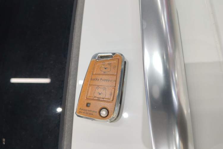 Used Volkswagen T-ROC 2023 300TSI DSG Two-Wheel-Drive Chen Guang Edition Vehicle Key