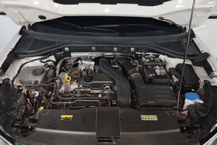 Used Volkswagen T-ROC 2024 300TSI DSG Two-Wheel-Drive Chen Guang Edition Engine Bay