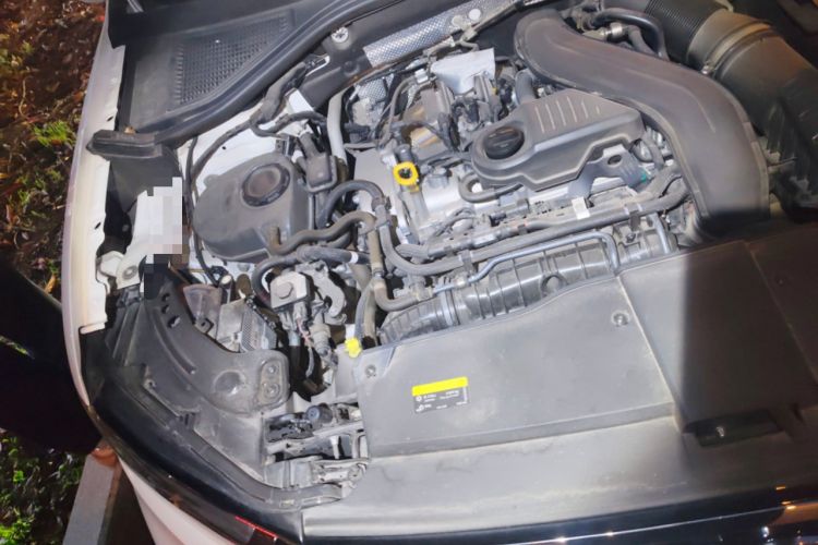 Used Volkswagen T-ROC 2024 300TSI DSG Two-Wheel-Drive Chen Guang Edition Engine Bay Right