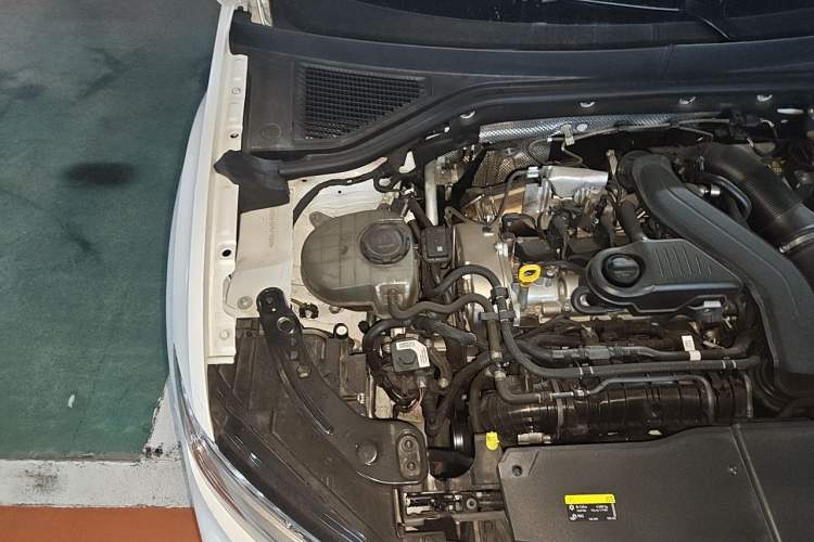 Used Volkswagen T-ROC 2024 300TSI DSG Two-Wheel-Drive Chen Guang Edition Engine Bay Right
