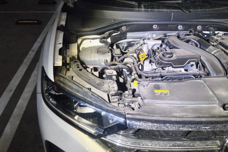 Used Volkswagen T-ROC 2024 300TSI DSG Two-Wheel-Drive Chen Guang Edition Engine Bay Right