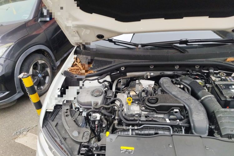 Used Volkswagen T-ROC 2024 300TSI DSG Two-Wheel-Drive Starlight Edition Engine Bay Right