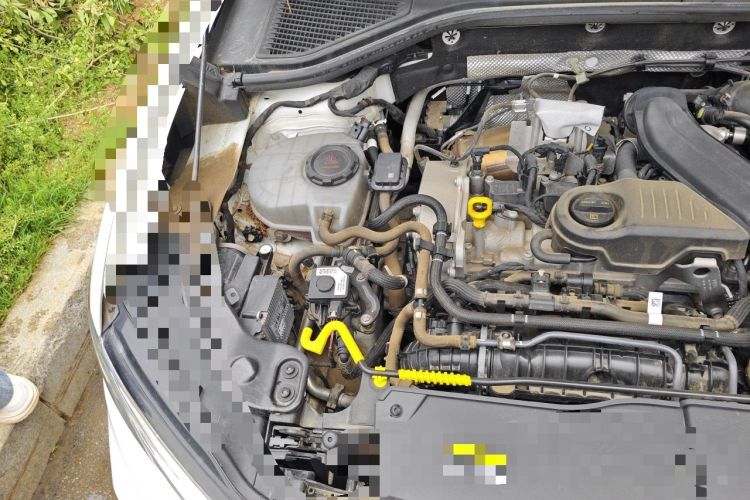 Used Volkswagen T-ROC 2024 300TSI DSG Two-Wheel-Drive Chen Guang Edition Engine Bay Right