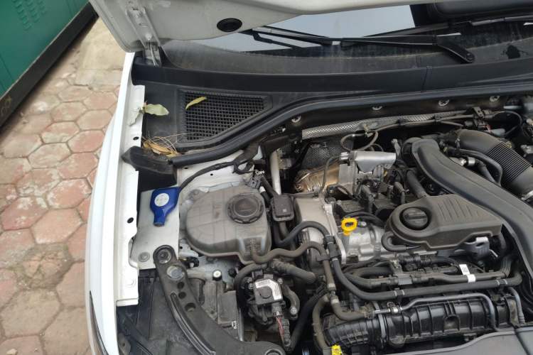 Used Volkswagen T-ROC 2024 300TSI DSG Two-Wheel-Drive Chen Guang Edition Engine Bay Right