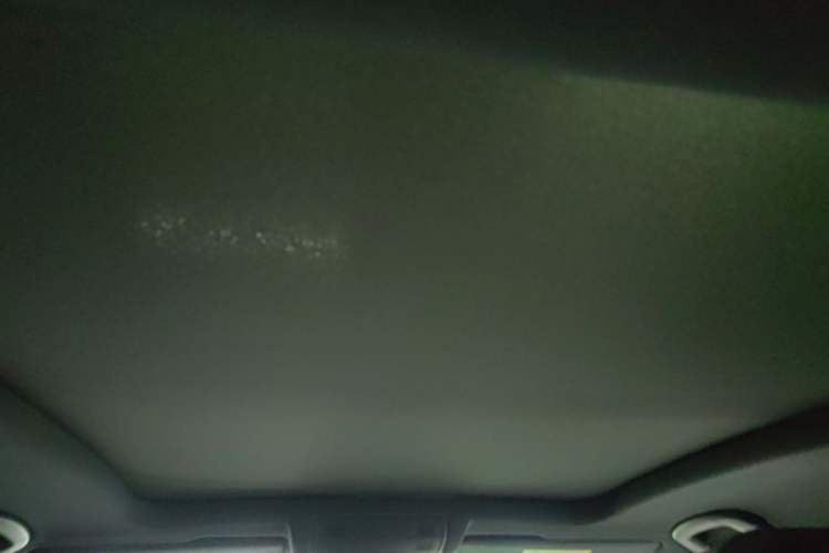 Used Volkswagen T-ROC 2024 300TSI DSG Two-Wheel-Drive Chen Guang Edition Headliner