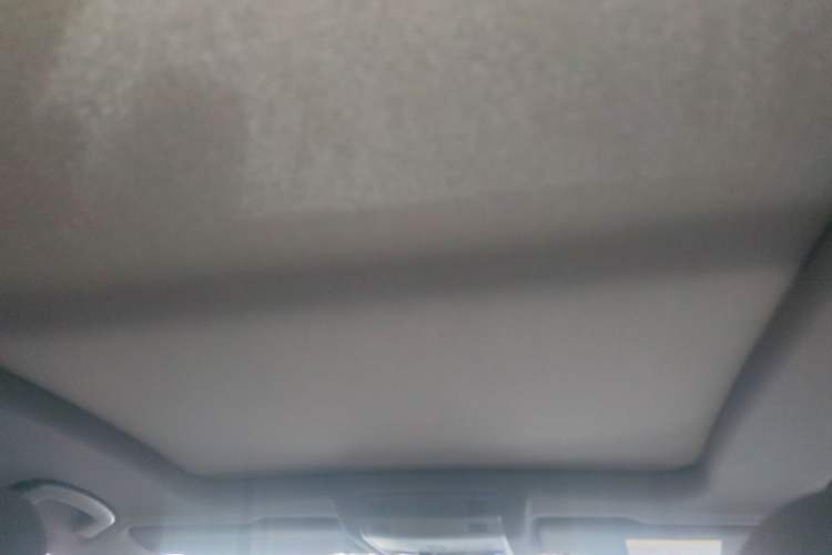 Used Volkswagen T-ROC 2024 300TSI DSG Two-Wheel-Drive Chen Guang Edition Headliner